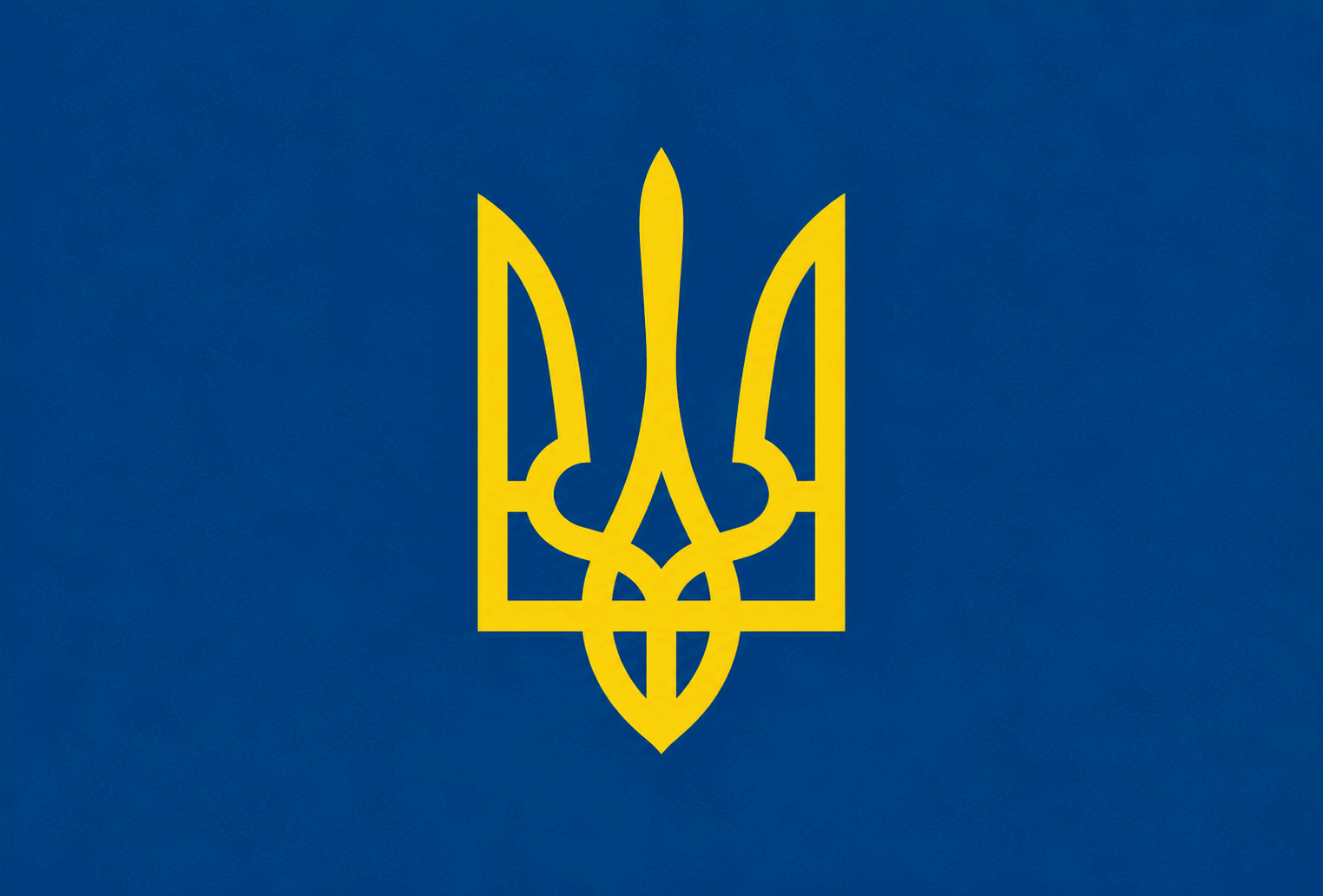 Державна податкова служба України